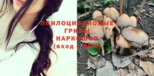 МДПВ Абаза