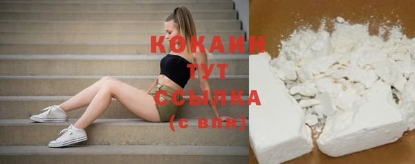 крисы Абдулино