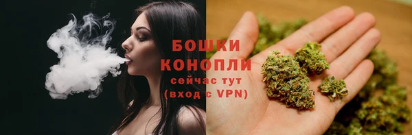 твердый Надым