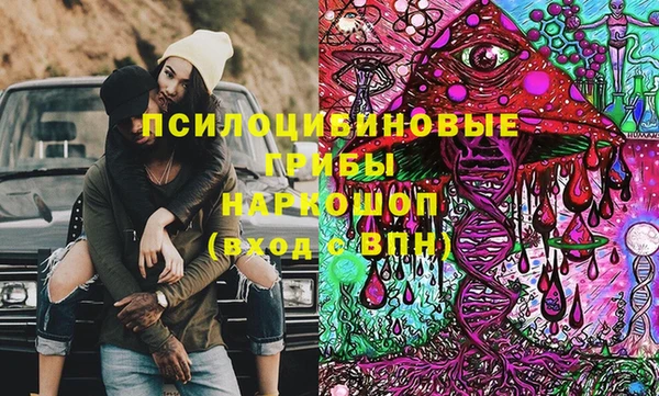прущая мука Ельня