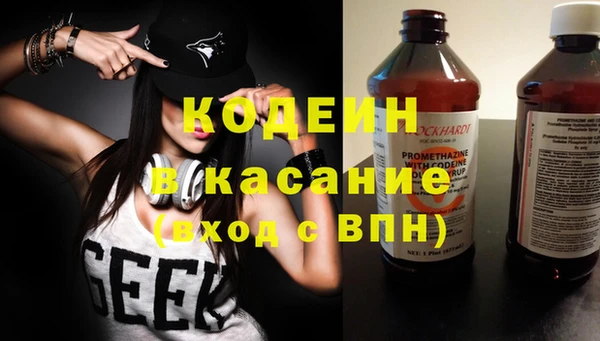 прущие грибы Елизово