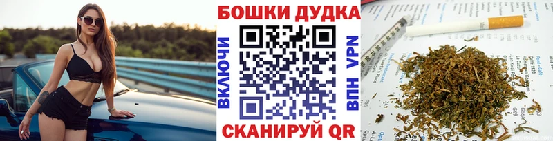 Бошки марихуана Bruce Banner Ильский